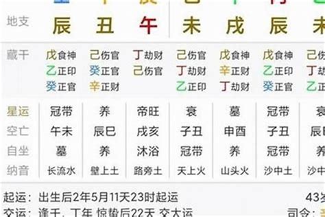 甲辰年 八字|甲辰年出生的上等八字 甲辰年大富大贵八字